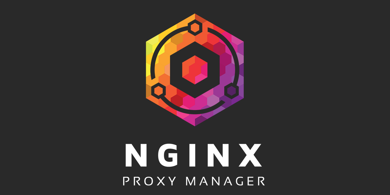 Local DNS for Docker Containers using Pi-hole + Portainer + Nginx Proxy Manager
